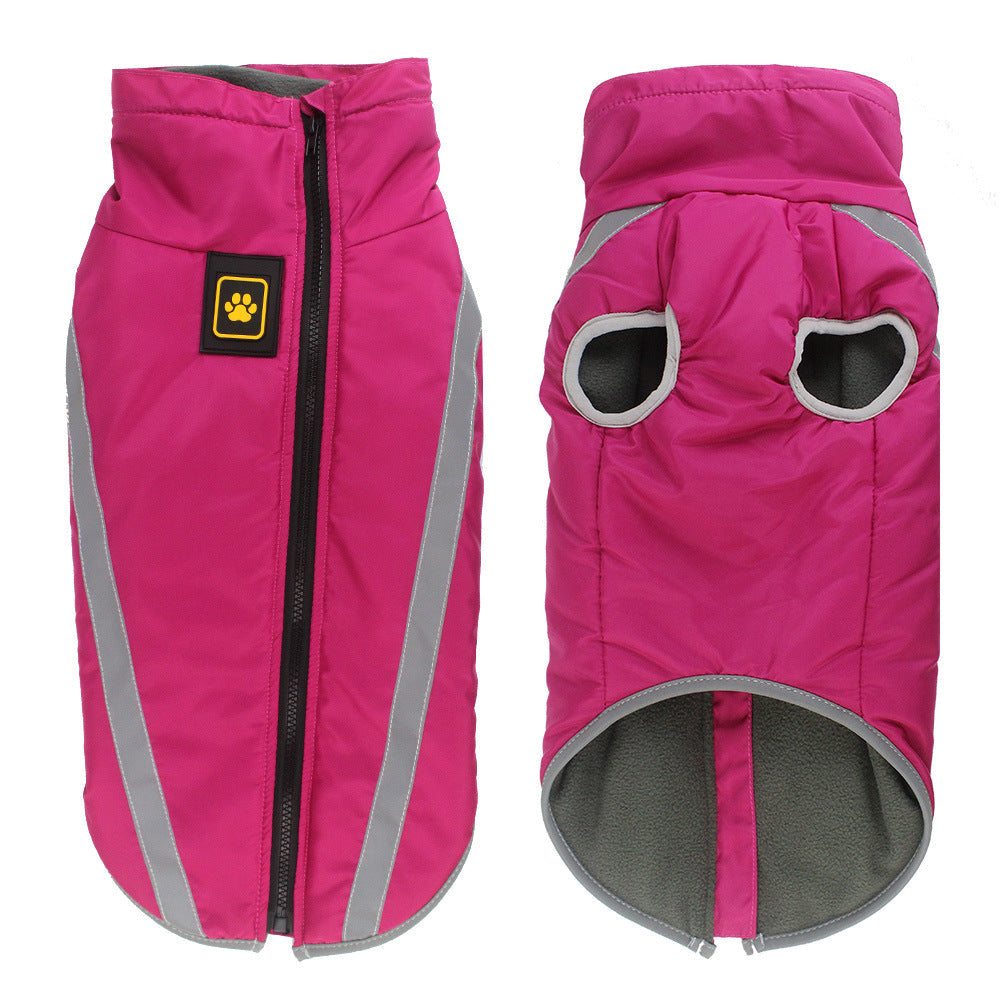 Keep Your Pet Cozy and Safe This Winter